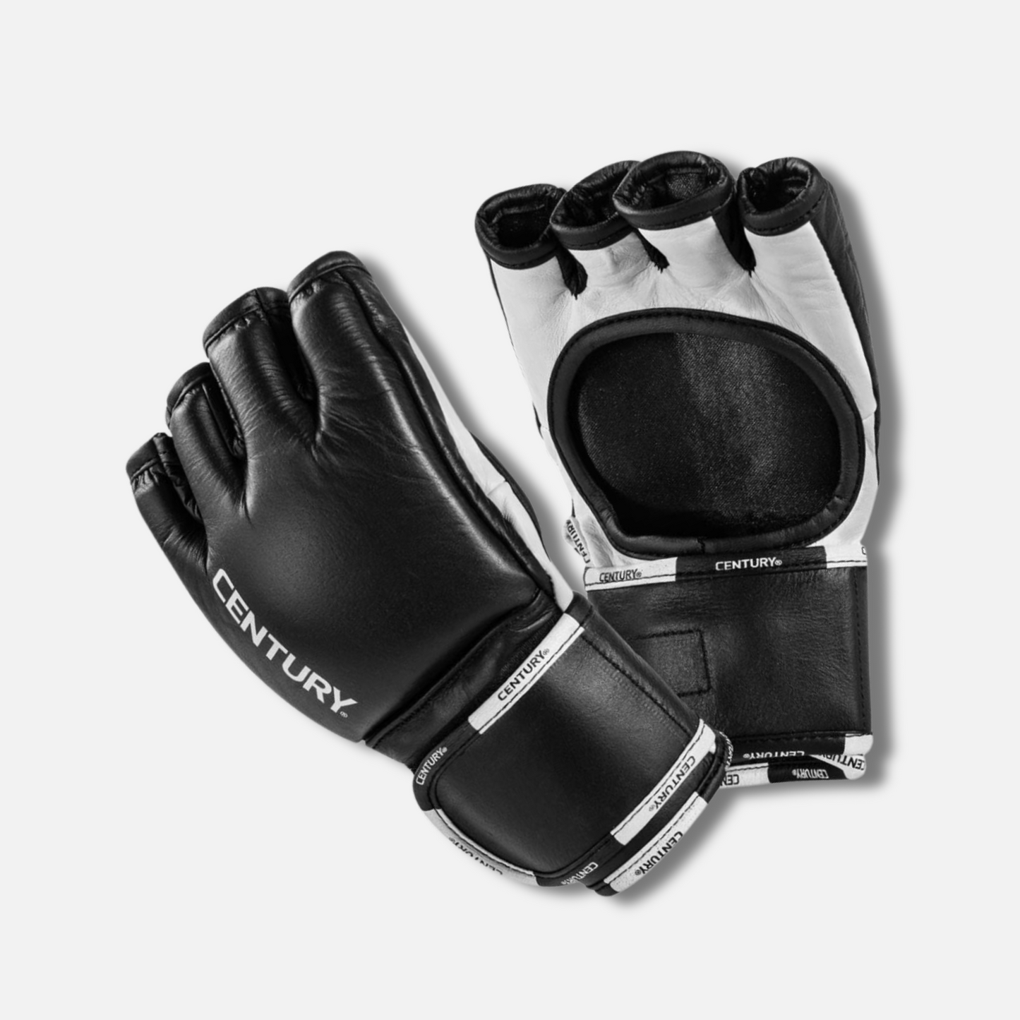 Creed Fight Gloves