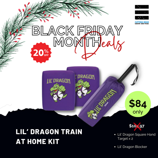 Lil Dragon Train at Home Kit