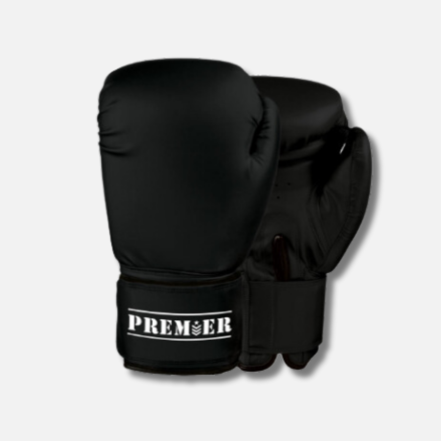 Premier Training Boxing Glove